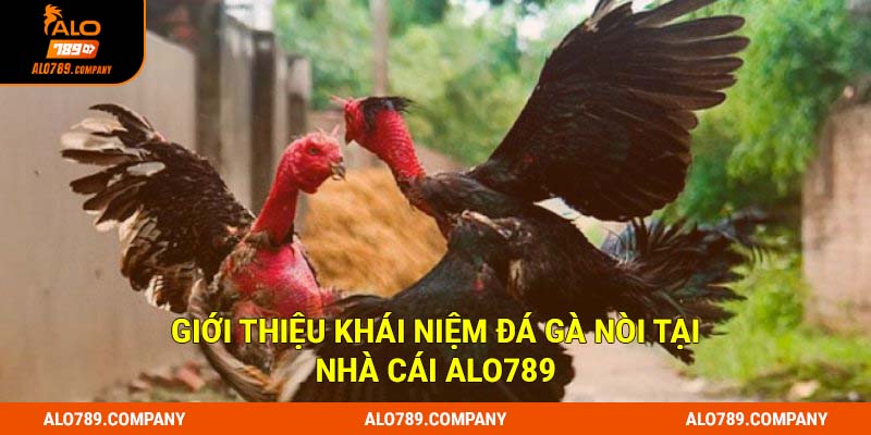 Giới thiệu khái niệm đá gà nòi tại nhà cái Alo789