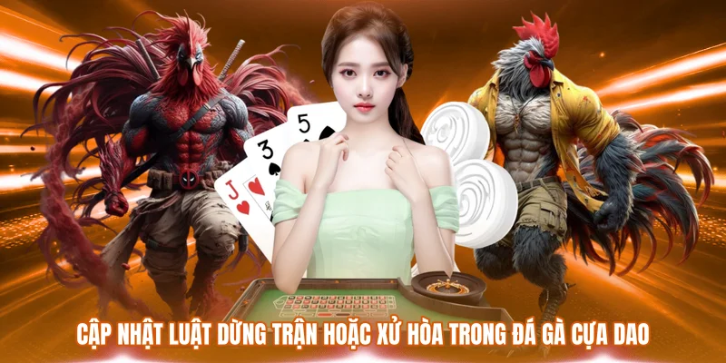 Cập nhật luật dừng trận hoặc xử hòa trong đá gà cựa dao