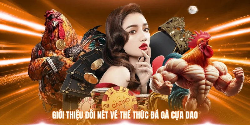 Giới thiệu đôi nét về thể thức đá gà cựa dao